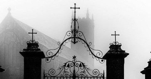 ₊‧✩ 𝓬𝓲𝓽𝔂 𝓪𝓷𝓰𝓮𝓵𝓼 ✩‧₊ Discord server banner