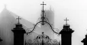 ₊‧✩ 𝓬𝓲𝓽𝔂 𝓪𝓷𝓰𝓮𝓵𝓼 ✩‧₊ server banner