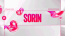 SORIN banner