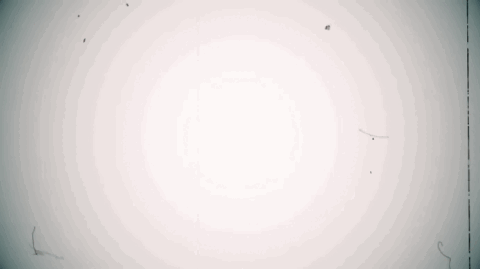 𝐕𝐢𝐳𝐚𝐫𝐝𝐬 banner