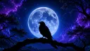 Night Raven banner