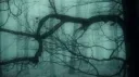 𝟒𝟑 𝒟ℯ𝓂ℴ𝓃𝓈 Addons banner