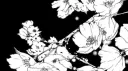 Initial banner