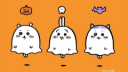🎃˳ ˚₊ 𝘤𝘩𝘪𝘪𝘬𝘢𝘸𝘢 ! 𝄞 Banner