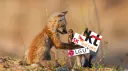 애베베호스팅 banner