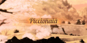 Piccionaia banner
