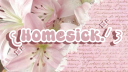 ˃   low  skull   01    /     dj2l server banner