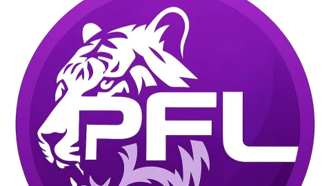 PFL︲Premier Football League banner
