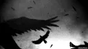 Zero° server banner
