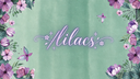 ꨄ ノlilacs ⊹ gwys vc stox scl Banner