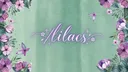 ꨄ ノlilacs bloom ⊹ scl ⊹ gwy banner