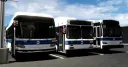 MTA Roblox | DOB banner