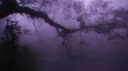 ࿔𝐄𝐧𝐜𝐡𝐚𝐧𝐭𝐦𝐞𝐧𝐭࿔ server banner