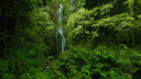 @𝙏𝙃𝙀 𝙋𝘼𝙍𝙆 banner