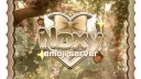 𝐍𝐎𝐗𝐘 server banner