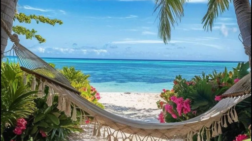 Bellywhy 🌺 Discord server banner