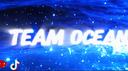 Team Shard ™ Banner