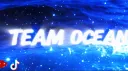 Team Shard ™ banner