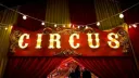 ☆Looey's circus☆ • 🎪 • Dandy's world • Social banner