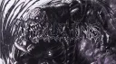 VI banner