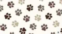 Zero's bark zone🐾🦴 server banner