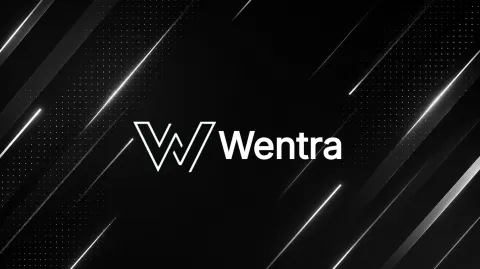 Wentra banner