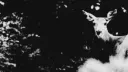 ⏝ ࣫ 𝙷𝙰𝚄𝙽𝚃𝙴𝙳 𝐕𝐄𝐈𝐋. server banner