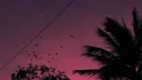 Server Outage #18 banner