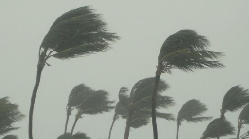 the bando™ Discord server banner