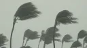 the bando™ server banner