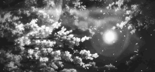 /essentialsy Discord server banner