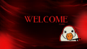 Ducks Discord server banner