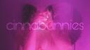 Cinnabunnies Banner