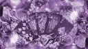 🐾。・゚゚・ 𝐀𝐧𝐭𝟏𝐬𝐨𝐜𝐢𝐚𝐥𝐬 ・゚゚・。🐾 Discord server banner