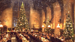 ⋆˚࿔ 𓏊 oz server banner