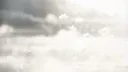 𝐅𝐋𝐎𝐖𝐄𝐑𝐁𝐋𝐎𝐎𝐌 ⁺ ₊ 𝐏𝐑𝐎𝐅𝐈𝐋𝐄𝐒 & 𝐄𝐌𝐎𝐓𝐄𝐒 Discord server banner