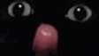 Prax banner