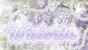wisteria  Banner