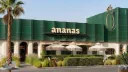 Ananas🍍 banner
