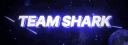 Mar banner