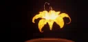 ɢᴏʟᴅᴇɴ ︴𐂂 Discord server banner