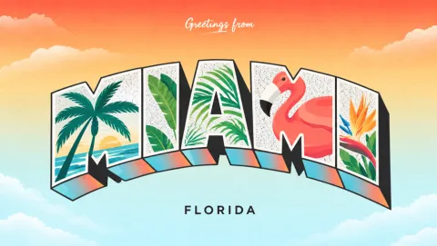 🦩 x /miami banner