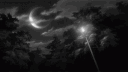 Yezz™ Shp banner