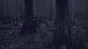 ˙⋆✮ The Abyss Network ✮⋆˙ server banner