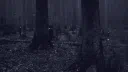 ˙⋆✮ The Abyss Network ✮⋆˙ Discord server banner