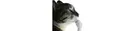 Garden Stock Watcher#0290 banner