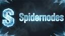 SpiderNodes™ |I| Hosts Your Dream Banner