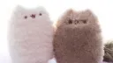 ୭ ノ fondue. 🍥 ꒰ social ◞ giveaways ◞ decor 𝜗𝜚 ꒱ Discord server banner