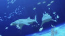 Almaris Discord server banner