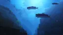 𓆉⋆｡ ࣪⊹🐚˚⋆Tide Smp 𓇼 ˖°🫧⊹ ࣪ banner